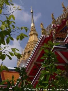 Backpacker Bangkok ab 751 €