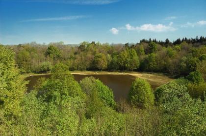 Freie Eifel-Ferienwohnungen ab Juni 2024