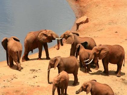 Weihnachten und Silvester - Jeep Safari Kenia 12 Tage 