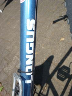  (6) 21 Gang 26 Zoll Rh 53 LONGUS mit Beleuchtung