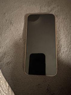 IPhone 13 Pro Max guter Zustand