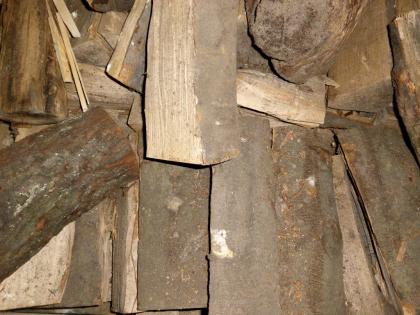 Buche Brennholz Kaminholz in 1 RM Einweg-Box gepackt, Scheitlänge ca. 30 cm