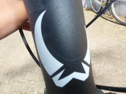 (73) 21 Gang CONWAY Nabendynamo Gabel gef. 26 Zoll Rh 41 auch als Jugendfahrrad