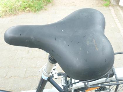 (20) 21 Gang 28 Zoll Rh 53 Gabel u Sattel gefedert