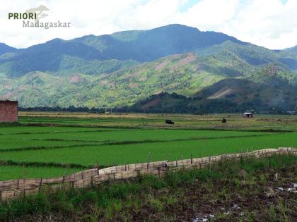 Madagaskar Reise SAVA, Vanille und Marojejy-Trekking 2021