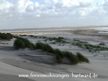 Kostenloser online Urlaubsgrusskartenservice