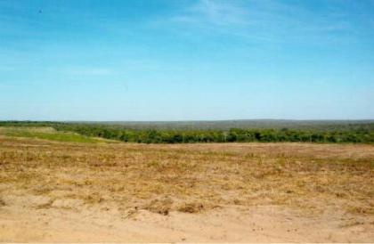 SUPERPREIS-1540 Hektar Farmland - 2.84 Mio €