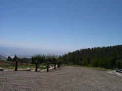 Urlaub auf Teneriffa im Ferienhaus Finca Buena Tierra