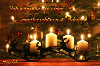 Flusskreuzfahrten zu den Advents & Weihnachtsmärkten an Rhein und Donau!Ab 199,-