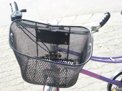 (124) 5 Gang HERCULES 28 Zoll Rh 53 mit Rücktrittsbremse