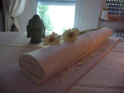 Qualitative Ausbildungen als Wellnesstherapeut im Rheingau! Lernen wo andere Url