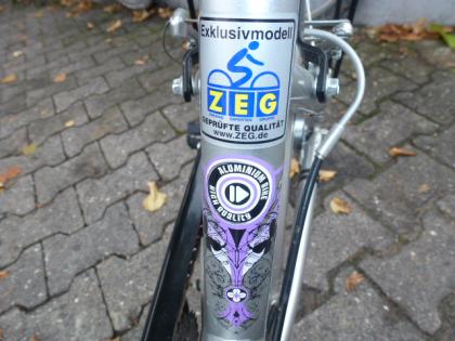 (12) 3 Gang Rücktrittsbremse 20 Zoll Rh 30 PEGASUS Exclusiv Modell