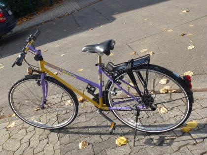 (49) 18 Gang 28 Zoll Rh 46 RIDGEBACK