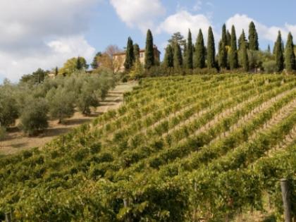 Ferienwohnung Italien TOSKANA