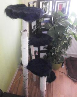 HANDANFERTIGUNG NATURKRATZBAUM SEHR STABIL!!!