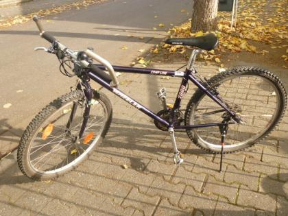 (213) 21 Gang 26 Zoll Rh 40 sehr leicht