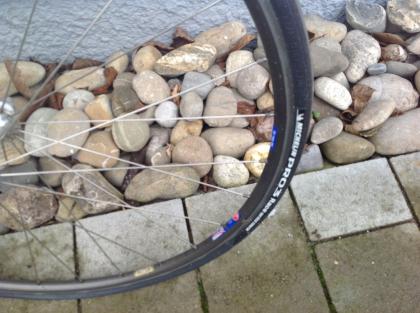 Sport- Rennrad