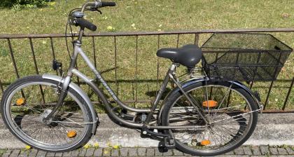Fahrrad Stadtfahrrad Damenfahrrad Bavaria Line Lizzard für Damen, 26 Zoll, Naben
