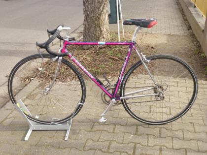 (80) 16 Gang 28 Zoll PINARELLO Rh 53 Made in Italy