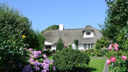 Urlaub auf Sylt buchen Hotel, Pension, Ferienwohnung Ferienhaus Westerland 