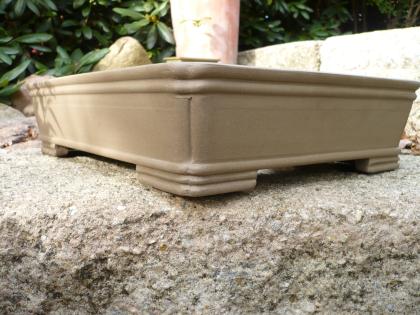 Bonsaischalen Schalen für Bonsai, Solitär Kakteen und alle anderen Pflanzen Fros