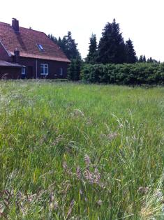 Immobilienofferte über ein vielseitig genutztes Objekt mit Baugrundstück