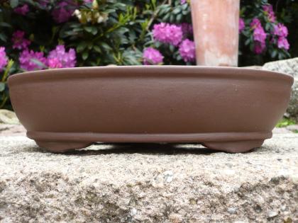 Bonsaischalen Schalen für Bonsai, Solitär Kakteen und alle anderen Pflanzen Fros