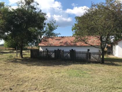  In Ungarn am Pusztaszer ist ein gepflegtes,ruhiges Bauernhaus mit 5755 m2 Grund
