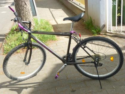 (177) 21 Gang 26 Zoll Rh 45