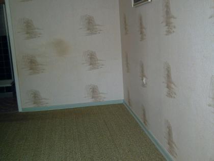 Sommerspecial TOP SCHNÄPPCHEN 2FAMILIENHAUS  ZU VERKAUFEN