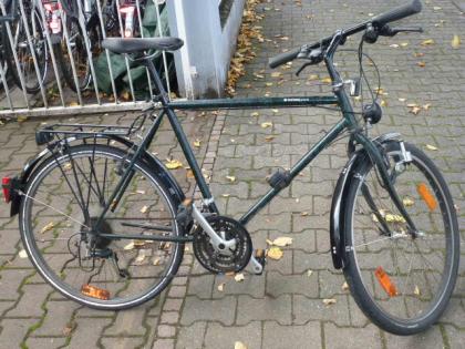 (63) 21 Gang 26 Zoll Rh 55 mit Beleuchtung