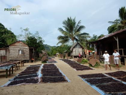 Madagaskar - Reise in die Gewürzregion SAVA 2021