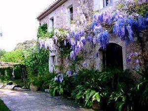 Mallorca Finca, Ferienwohnung, Landhotel, Mietwagen