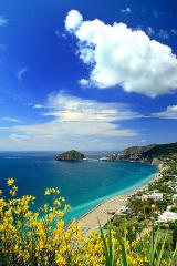 Ferienwohnung Ischia Last Minute 