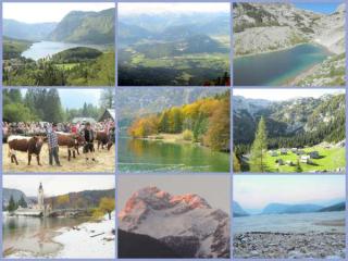 FeWo in Bohinj ( Oberkrain ) - Slowenien