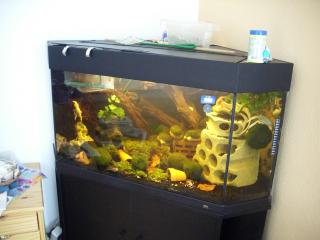 Eck-Aquarium 150 Liter von Juwel schwarz