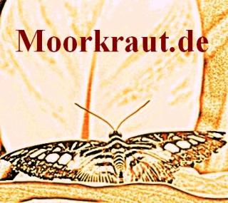 Die Heilkraft des Moores