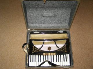 Hohner Akkordeon Lucia III 96 Bässe 5 Register neuwertig