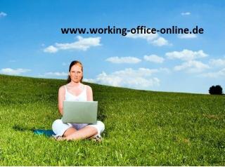 Familie   Beruf   Nebenjob - die Lösung, Online-Job im Home-Office