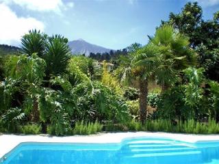 Urlaub auf Teneriffa auf der Finca Corine (Ferienhaus)