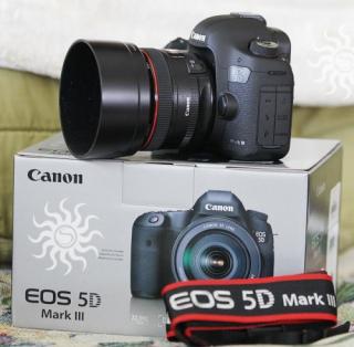 Canon EOS 5D Mark III mit EF 24-105mm IS Objektiv