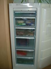 Gefrierschrank Bosch GSN84E00 no frost