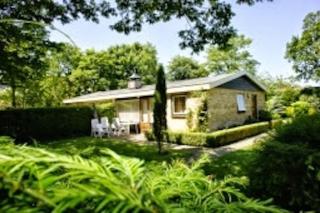 Ferienhaus bei Domburg, Zeeland: Wandern mit Ihre Hund (Dackel) die Strände entl