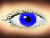 2.Standbein+Nebenjob+Neue Karr