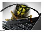 Profi-Chatter gesucht