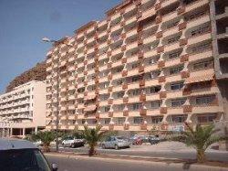 Appartment Flamingo in Palm Mar im Süden von Teneriffa