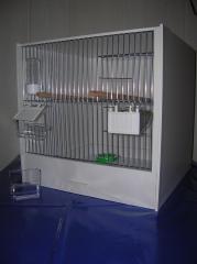 Abgabe von Zuchtboxen(Käfige)