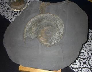 Antiquarische Kunst
