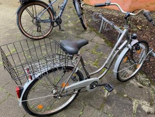 Stadtfahrrad Bavaria Line Lizzard für Damen, Nabenschaltung, Beleuchtung, Korb