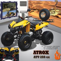 QUAD,ATV 250 cc mit 2 Personen Zulassung Das Absolute Feeling